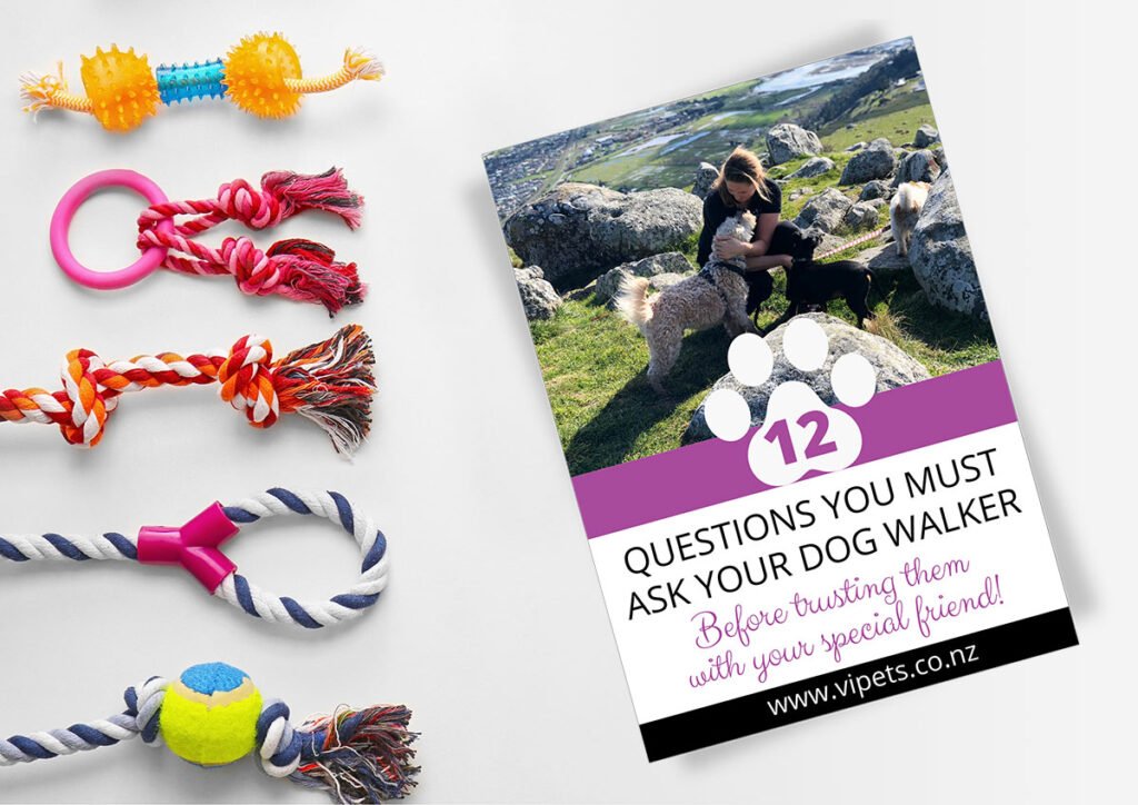 12 questions to ask your dog walker book cover