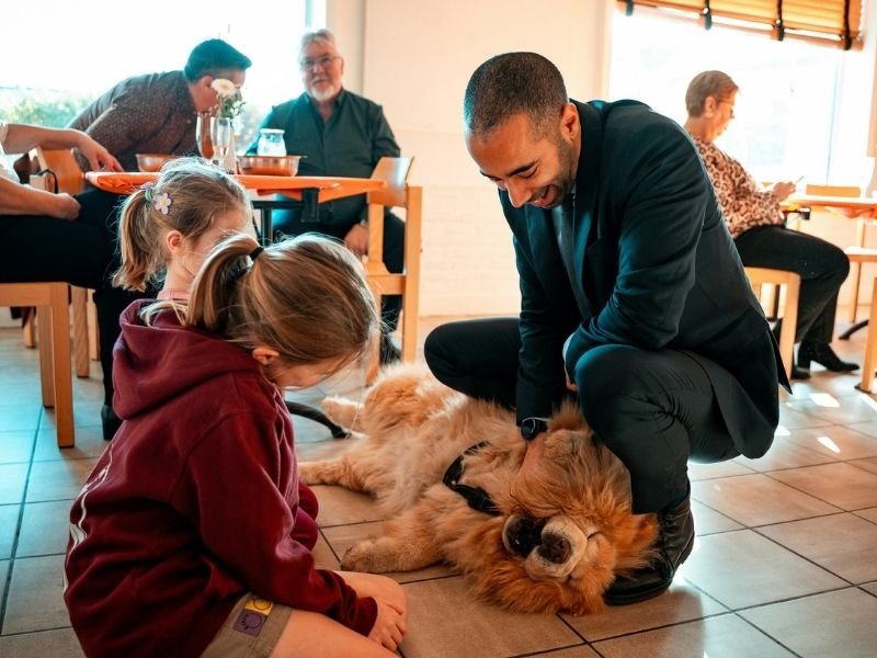IMage of a dog with family in the home that are a disruption to his routine