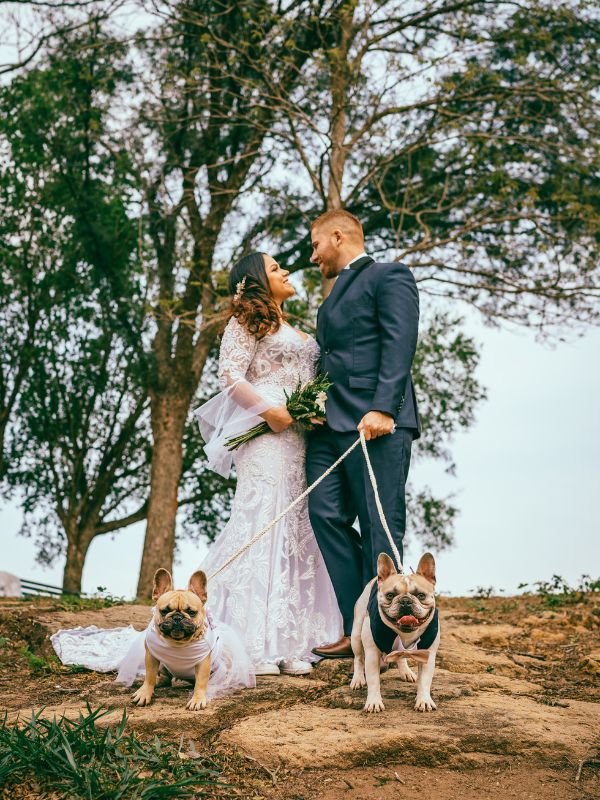 Two French bulldogs in wedding attire with bride and groom at outdoor Christchurch wedding ceremony with professional pet attendant care