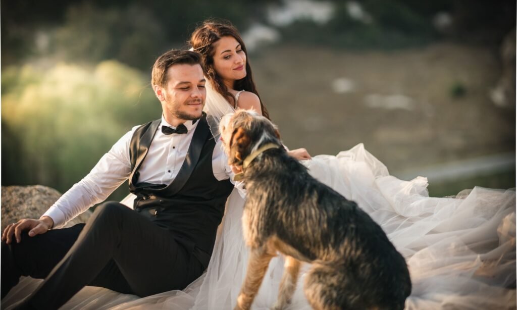 Image of a bride and groom having their dog as a ring bearer at their Christchurch wedding