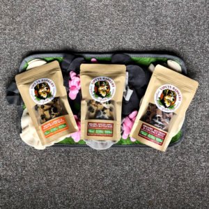 Snuffle mat christmas gift idea for dogs with 3 pack of organic dog treats