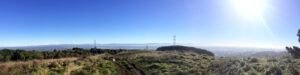 Image of Victoria Park Panoramic