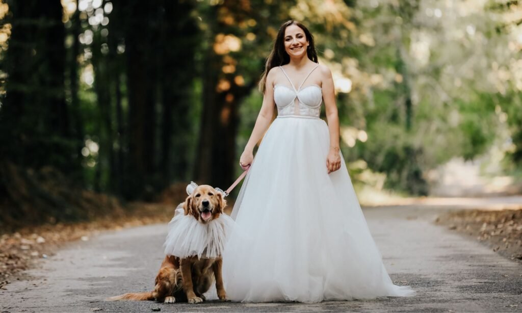 Image of a dog being included in a Christchurch wedding
