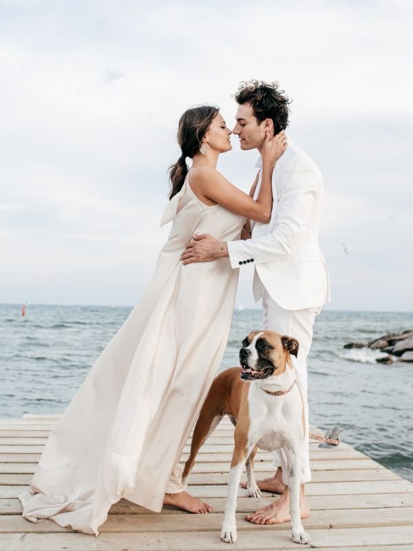 Couple with boxer dog at waterfront wedding in New Zealand with professional pet attendant care and coordination